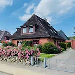 Kleine Möwe - Großes Nest *
