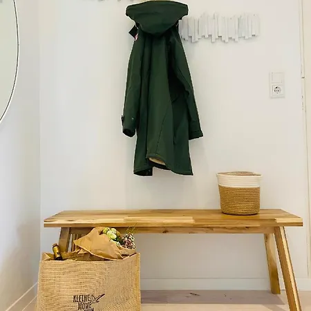 Kleine Möwe - Großes Nest